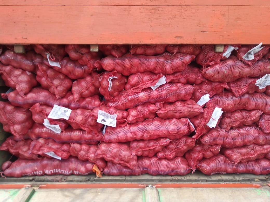 Bawang bombay merah dari India