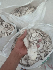 singkong gaplek