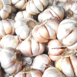 Jual Bawang Putih Lokal