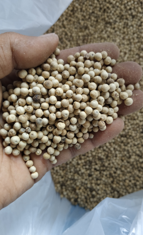 Lada Putih / white pepper