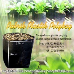 polybag