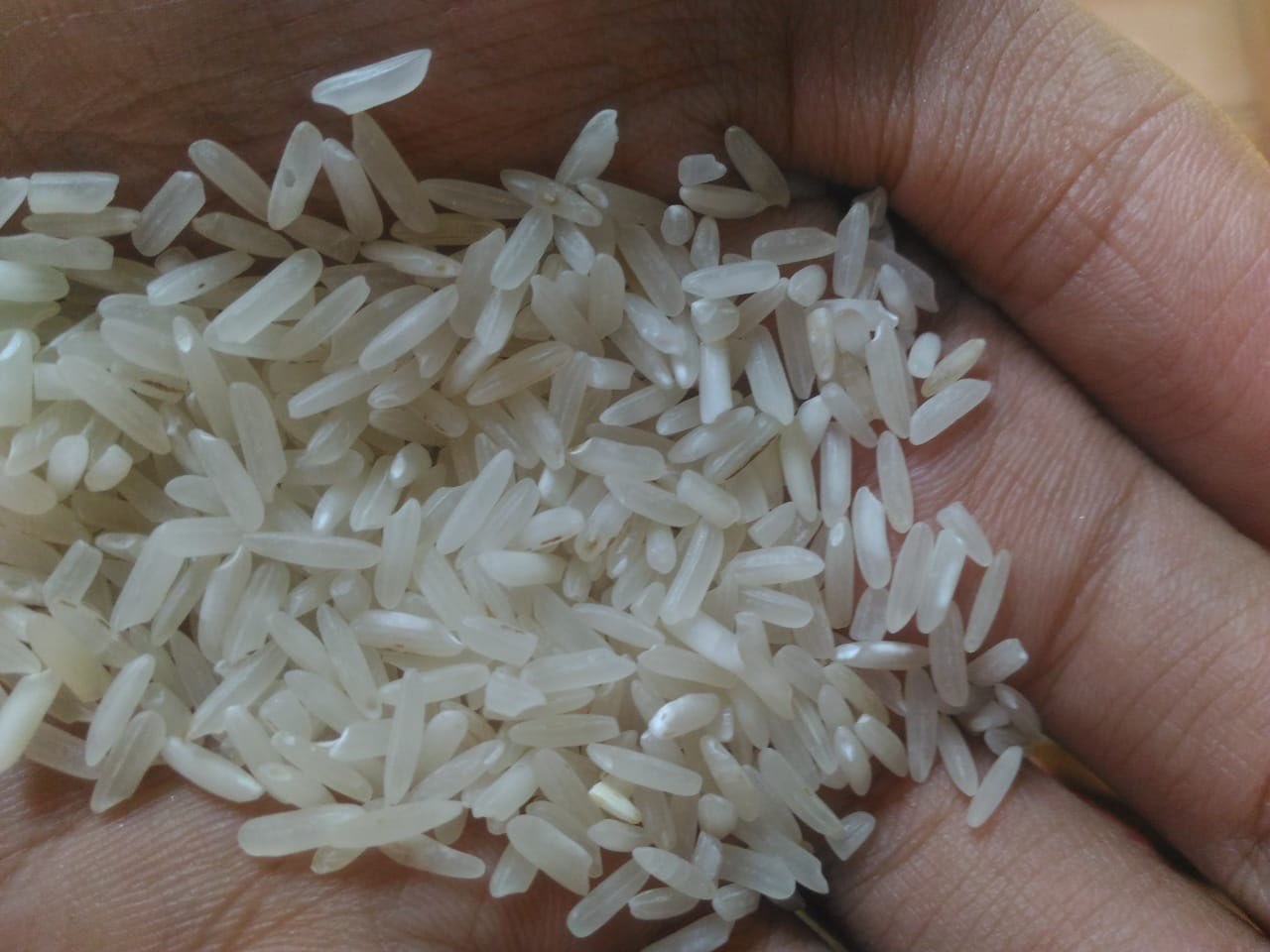 Beras Import Stok Banyak