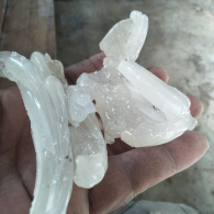 Getah Damar Super