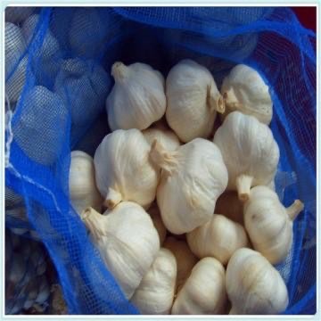 Bawang Putih Kating Import 1 Kg Kualitas super