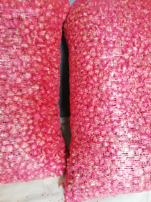 Bawang merah