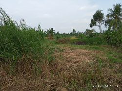 Tanah Kavling Terpercaya