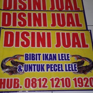 Jual bibit ikan lele