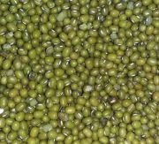 Ready Stock Kacang Hijau
