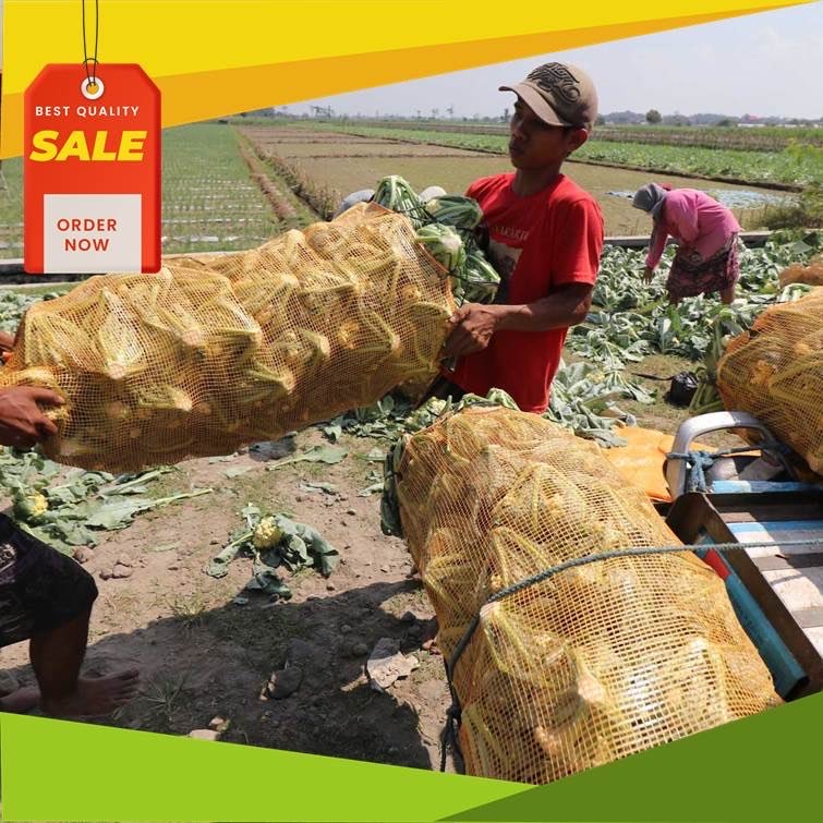 Distributor Waring Sayur Termurah Kuat Berkualitas