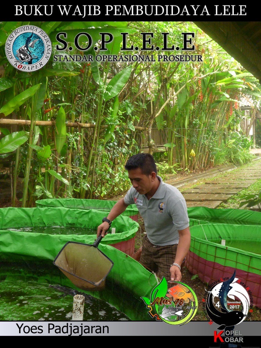 PELATIHAN BUDIDAYA IKAN LELE 