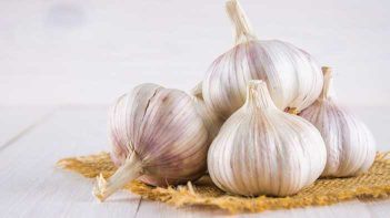 BAWANG PUTIH (honan/kating)
