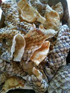 Kripik Kulit Ikan Kakap Matang 1 Bal / 1 Kg an