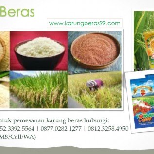Produsen Karung Beras Plastik