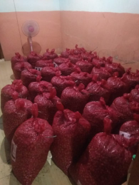 bawang merah