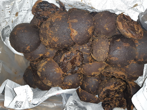 Gula Aren Murni Asli Curup