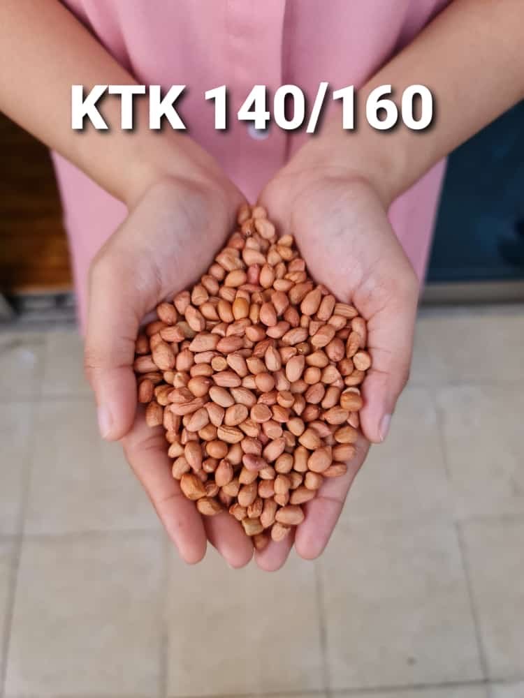 KACANG TANAH MURAH