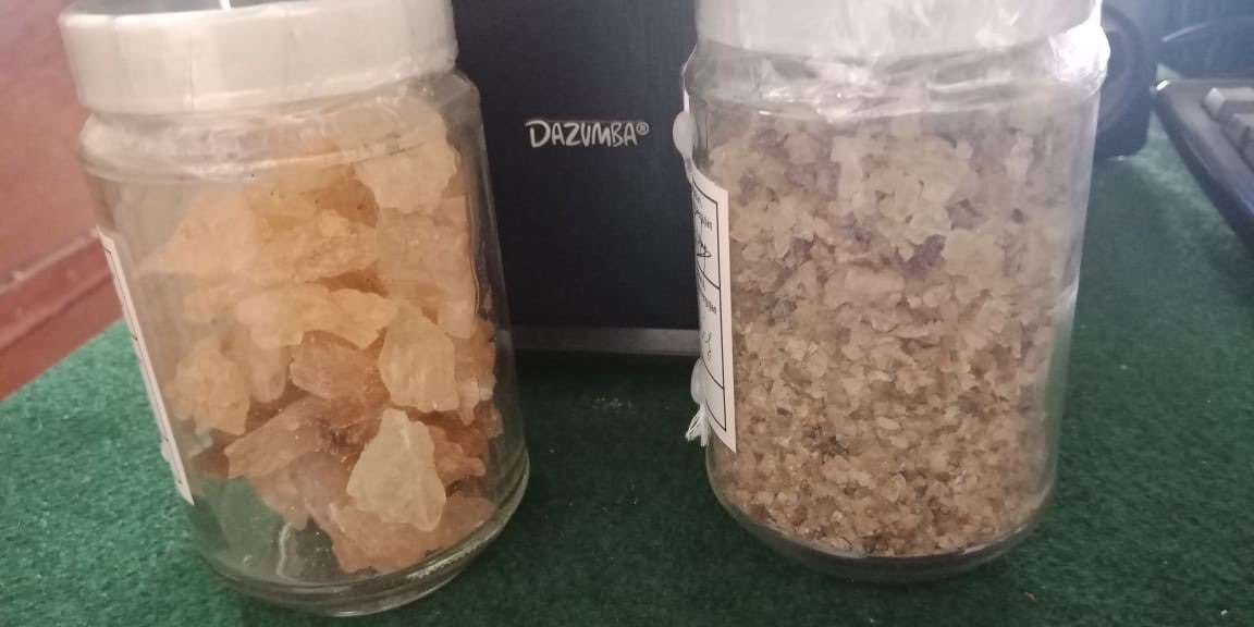 getah copal. getah damar. kopal. getah pinus.turpentine