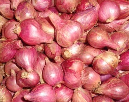 Bawang Merah Super