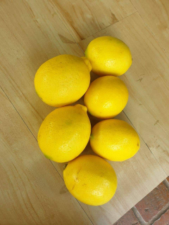 lemon california