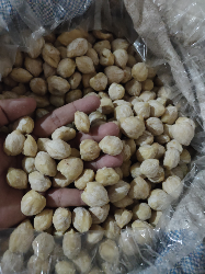 kemiri, kayu manis, cengkeh, kopi dll