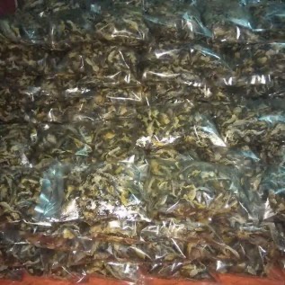 kulit ikan patin