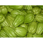 Jepang(labu siam)