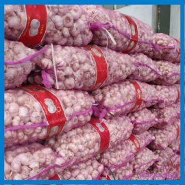 Jual Bawang Putih Biasa/Honan/Sincho/Banci bukan Kating