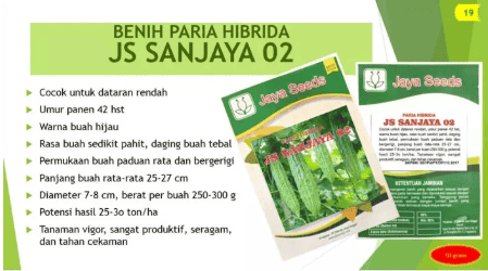 PARIA HIBRIDA Varietas JS SANJAYA 02 - 100 gr