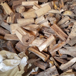 kayu gaharu