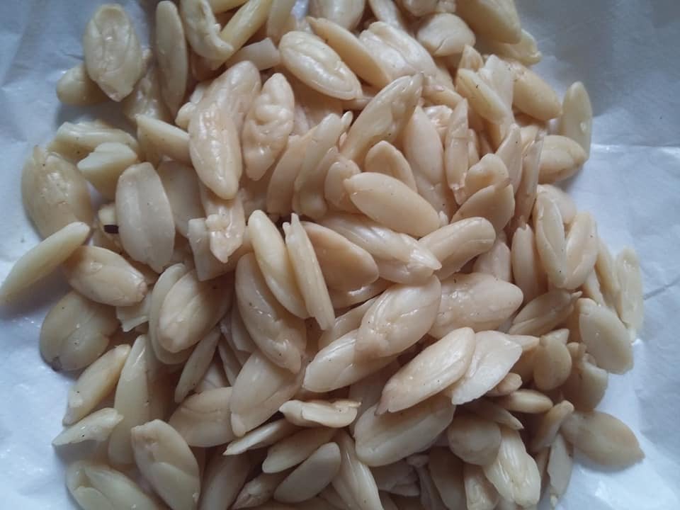KACANG KENARI DAN MENTE