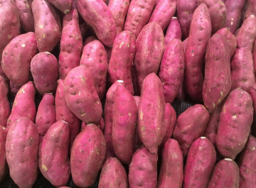 ubi ungu