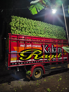 Pisang Muli