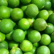 buah jeruk