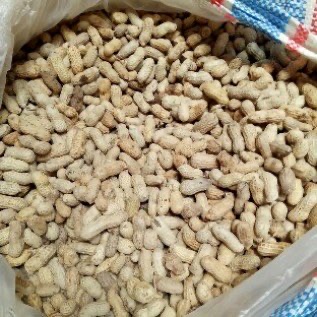 Kacang kulit asin