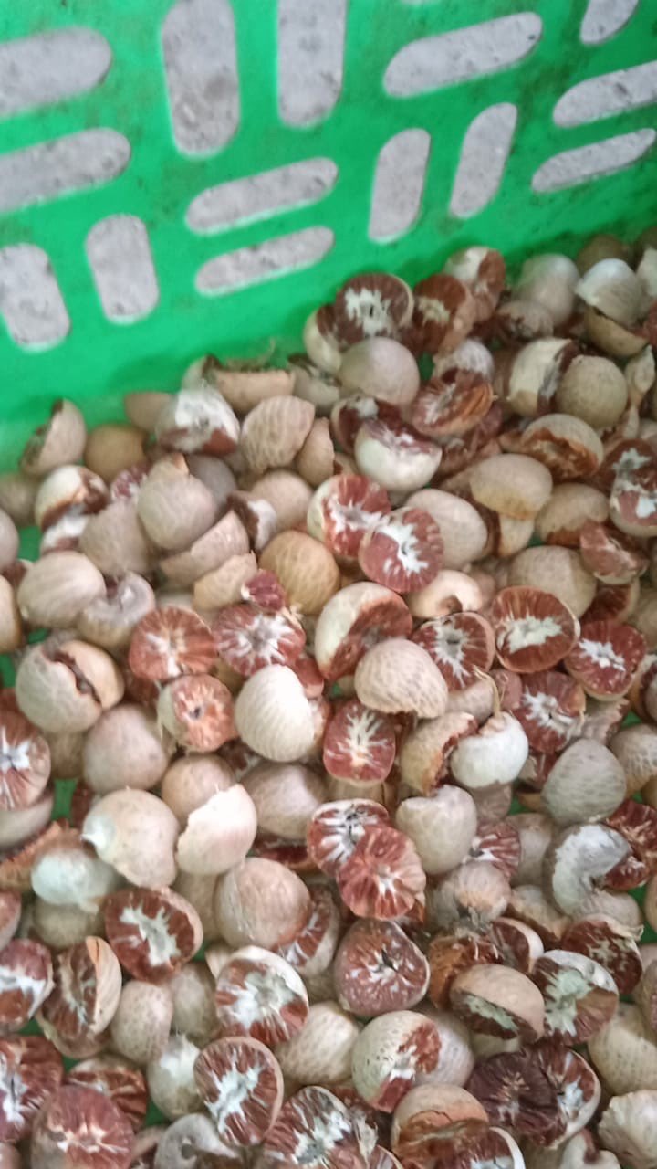 Pinang Belah (Betel Nut Split Cut)