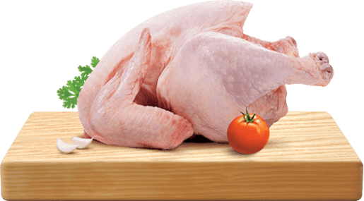 Ayam fresh