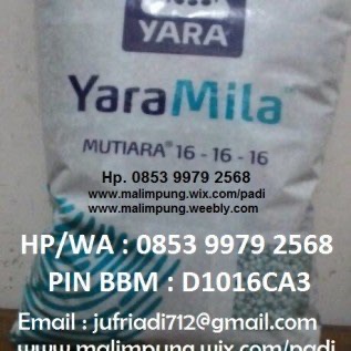 PUPUK NPK YARAMILA MUTIARA (MAKASSAR)