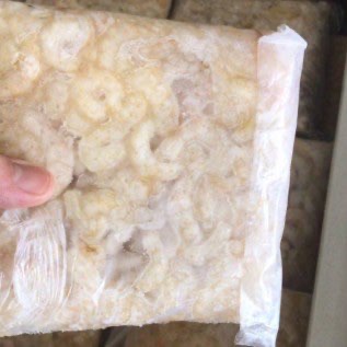 Udang Kuning dan Udang Swallow Frozen