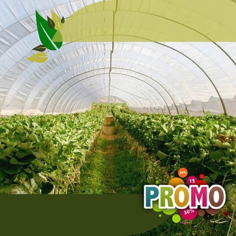 Siap Kirim Harga Termurah! Plastik UV VATAN, HERCULES