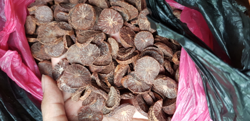 pinang muda iris