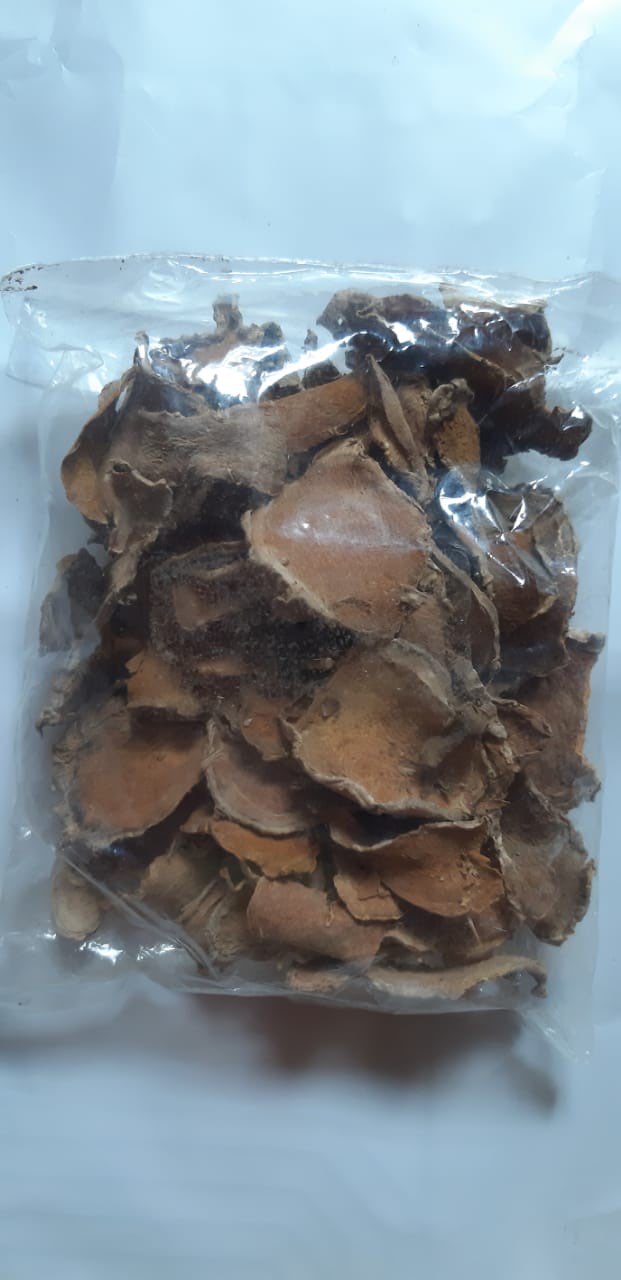 Temulawak