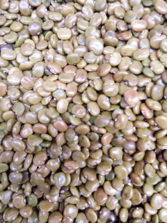 LEGUME COVER CROUPS