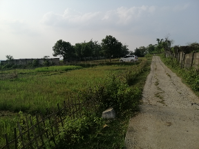 Tanah 5ha dibawah njop cariu jonggol