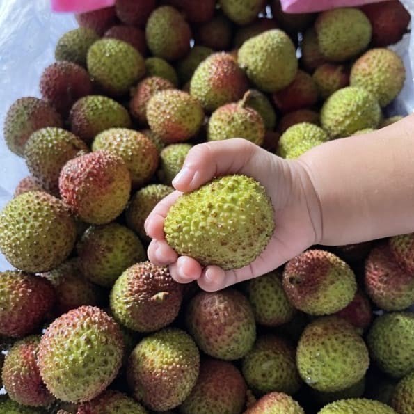 Leci Madu Premium