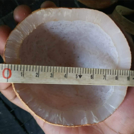 kopra edible