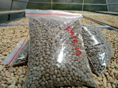 ARABICA GAYO COFFEE/Kopi Arabika Gayo