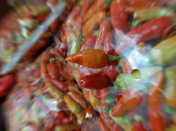 Cabai Rawit Merah Petik