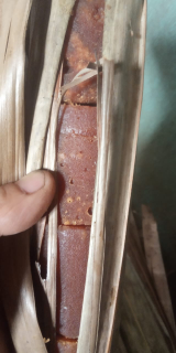 GULA AREN ASLI DAN GULA AREN CAMPUR TEBU