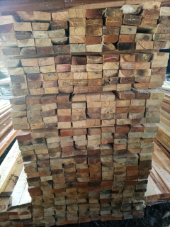 KAYU RACUK MERAH
