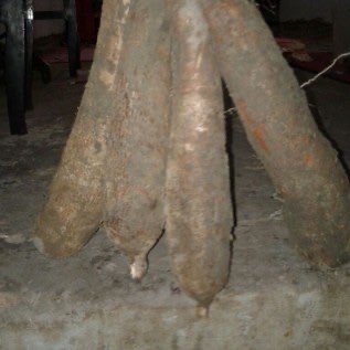 Singkong